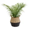 20cm Palm Artificial Plant In Natural Wicker Basket -Outdoor Garden Shop 20cm palm artificial plant in natural wicker basket5010795682577 01c bq