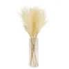 64cm White Pampas Grass Artificial Plant In Clear Glass Vase -Outdoor Garden Shop 64cm white pampas grass artificial plant in clear glass vase5010795682614 03c bq