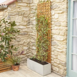6ft Pine Trellis Panel (W)122cm X (H)183cm -Outdoor Garden Shop 6ft pine trellis panel w 122cm x h 183cm3663602430636 04bq