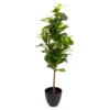 80cm Peperomia Artificial Plant In Black Ribbed Pot -Outdoor Garden Shop 80cm peperomia artificial plant in black ribbed pot5010795687022 01c