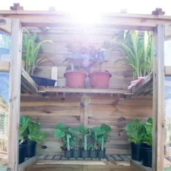 Forest Garden Natural Timber 5x2 Greenhouse -Outdoor Garden Shop forest garden natural timber 5x2 greenhouse5013053176375 05i