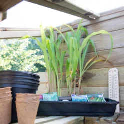 Forest Garden Natural Timber 5x2 Greenhouse -Outdoor Garden Shop forest garden natural timber 5x2 greenhouse5013053176375 06i