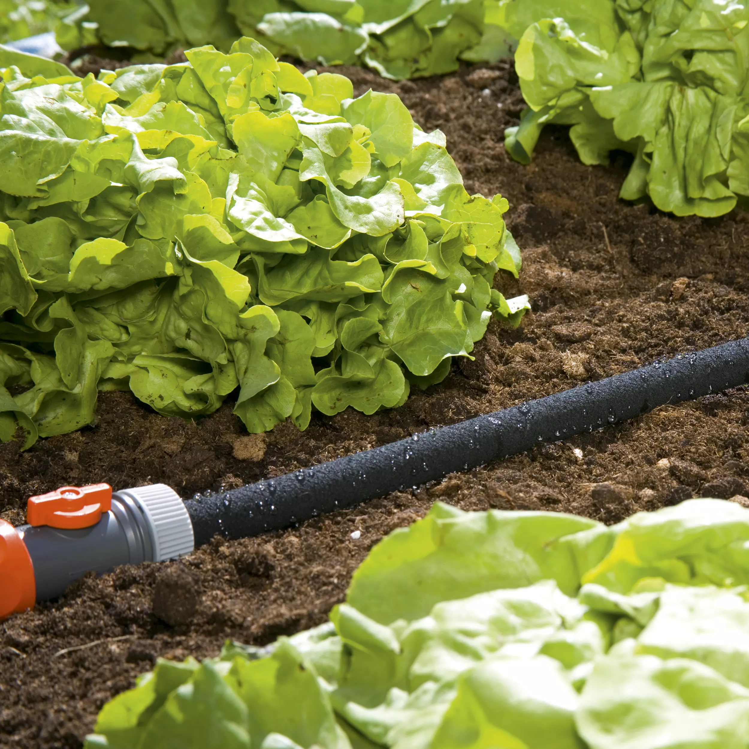 Gardena 1969-20 Black Multilayer Braided Reinforced Hose Pipe (D)½" X (L)15m 4 Gardena 1969-20 Black Multilayer Braided Reinforced Hose Pipe (D)½" X (L)15m - Image 2