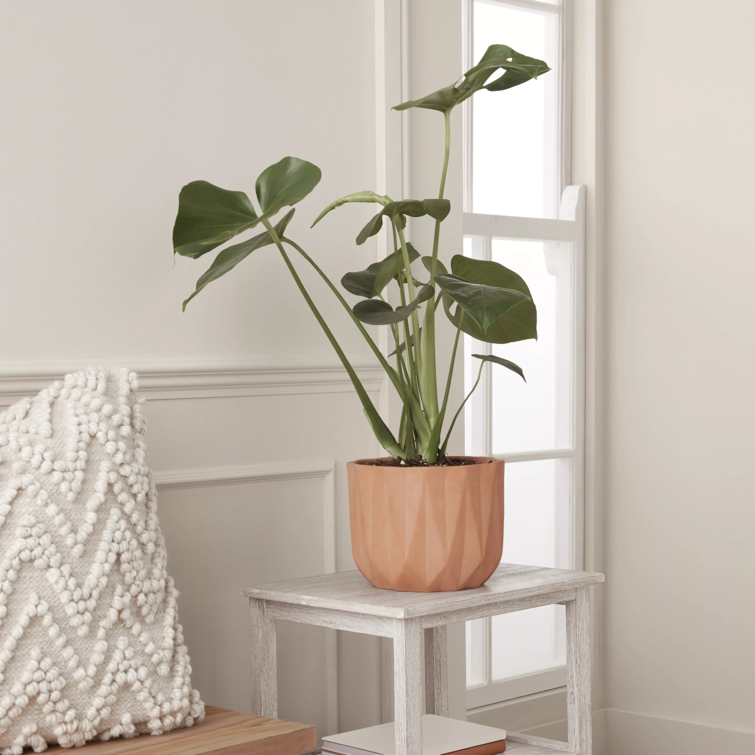 GoodHome Lummi Natural Terracotta Geometric Stripes Circular Plant Pot (Dia)20.5cm 5 GoodHome Lummi Natural Terracotta Geometric Stripes Circular Plant Pot (Dia)20.5cm - Image 3