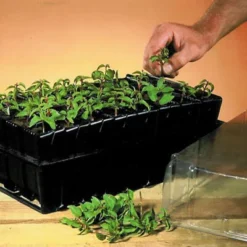 Haxnicks Deep Rootrainer 37cm -Outdoor Garden Shop haxnicks deep rootrainer 37cm0651609107012 01i