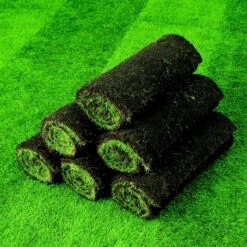 Lawn Turf, 50m² Pack -Outdoor Garden Shop lawn turf 50m pack3663602195108 04i