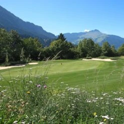 Meadowmat Wildflower Turf, 20m² Pack -Outdoor Garden Shop meadowmat wildflower turf 20m pack04168157 04i bq