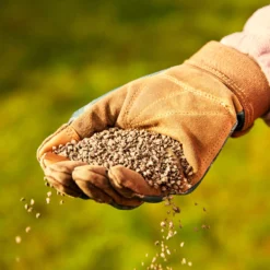 Miracle-Gro Perform Universal Plant Feed Granules 2kg 7 Miracle-Gro Perform Universal Plant Feed Granules 2kg -Outdoor Garden Shop miracle gro perform universal plant feed granules 2kg5010272189032 01i BQ