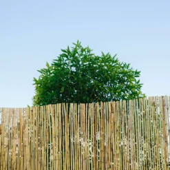 Natural Reed Garden Screen (H)1.8m (W)3m -Outdoor Garden Shop natural reed garden screen h 1 8m w 3m3663602428060 01i