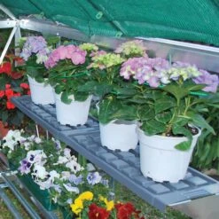 Palram - Canopia 1 Tier Greenhouse Shelving -Outdoor Garden Shop palram canopia 1 tier greenhouse shelving7290010027255 02i BQ