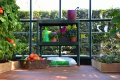 Palram - Canopia 2 Tier Greenhouse Staging -Outdoor Garden Shop palram canopia 2 tier greenhouse staging7290103121372 05i