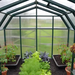 Palram - Canopia Hobby Gardner Green 8x8 Greenhouse 14 Palram - Canopia Hobby Gardner Green 8x8 Greenhouse -Outdoor Garden Shop palram canopia hobby gardner green 8x8 greenhouse7290103121655 05i bq