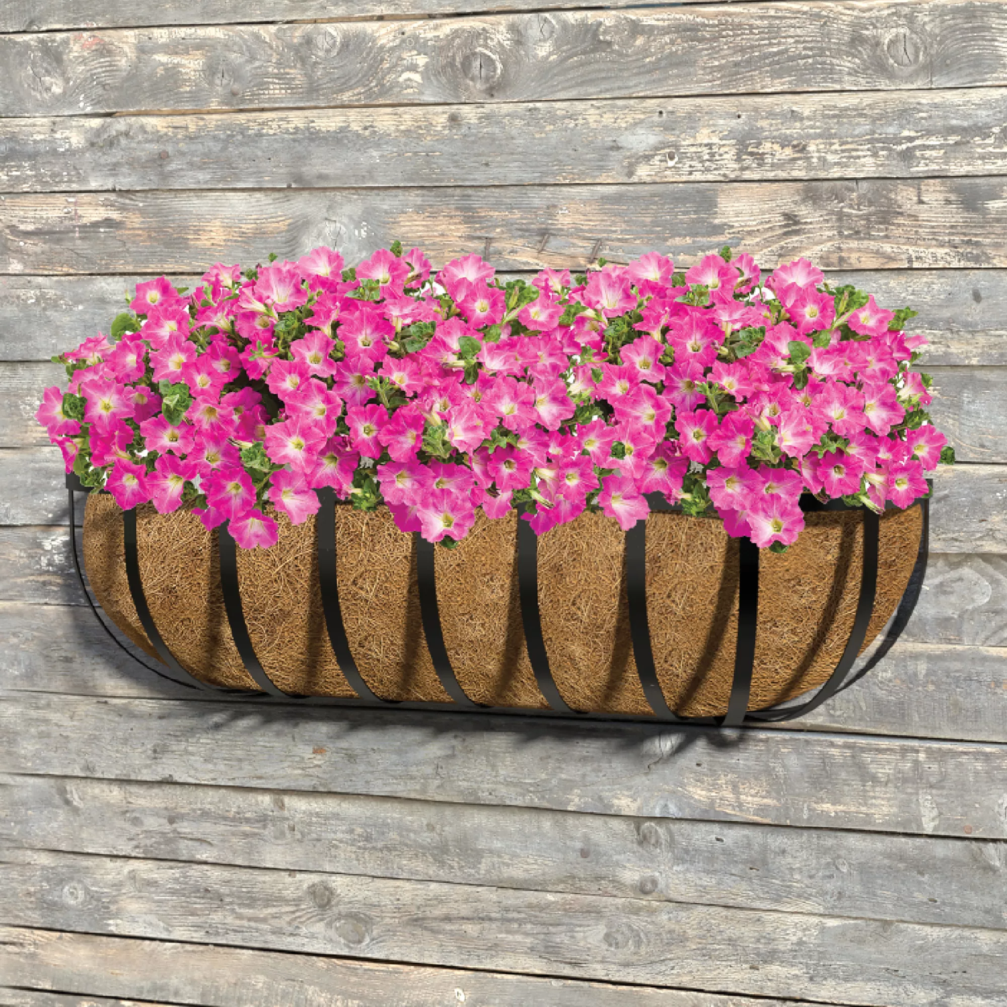 Panacea Hanging Garden Black Wall Rectangular Trough 4 Panacea Hanging Garden Black Wall Rectangular Trough - Image 2