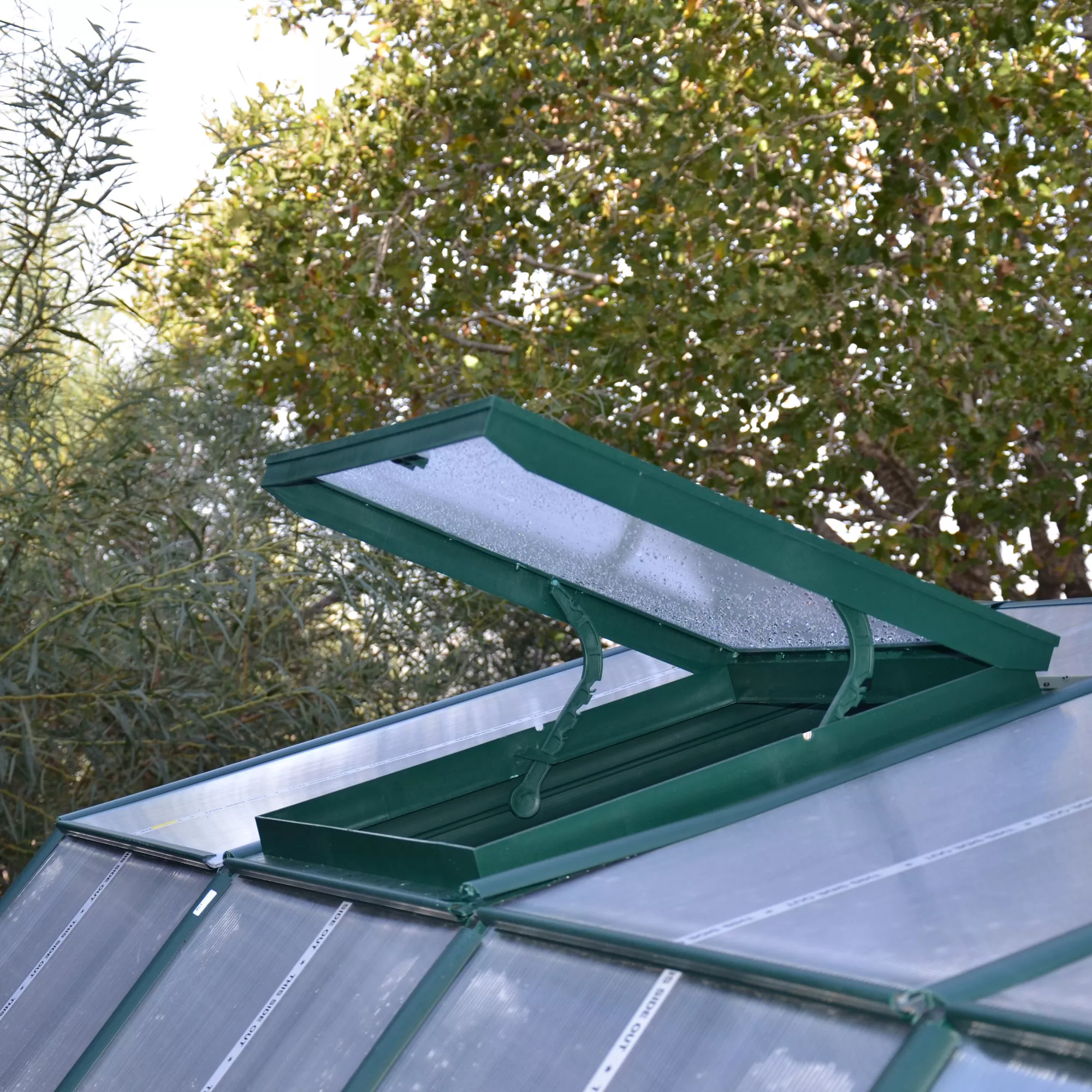 Rion Grand Gardner Green 8x12 Greenhouse 5 Rion Grand Gardner Green 8x12 Greenhouse - Image 3