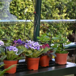 Rion Grand Gardner Green 8x16 Greenhouse -Outdoor Garden Shop rion grand gardner green 8x16 greenhouse7290103121594 37c