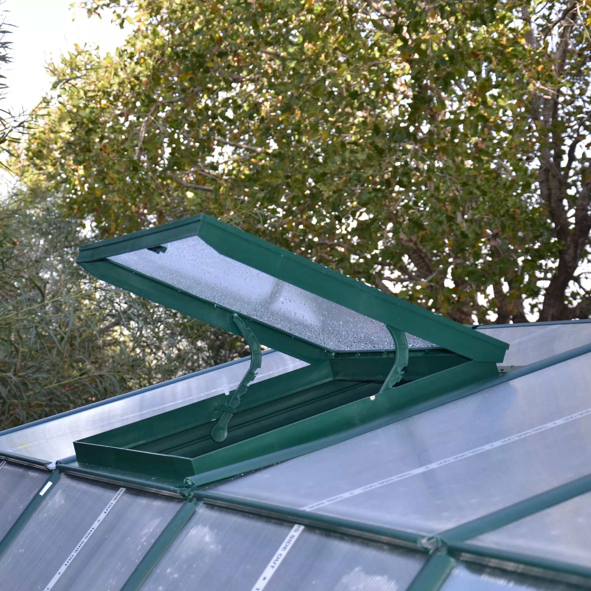 Rion Grand Gardner Green 8x8 Greenhouse 8 Rion Grand Gardner Green 8x8 Greenhouse - Image 6