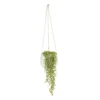 String Of Beads In 13cm White Ceramic Hanging Pot -Outdoor Garden Shop string of beads in 13cm white ceramic hanging pot3663602497356 02c bq
