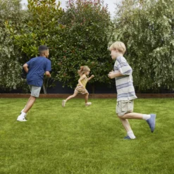 Verve Family & Sports Grass Seeds, 1.5kg -Outdoor Garden Shop verve family sports grass seeds 1 5kg3663602947516 01i