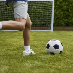 Verve Family & Sports Grass Seeds, 1.5kg -Outdoor Garden Shop verve family sports grass seeds 1 5kg3663602947516 06i