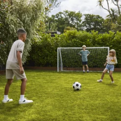 Verve Family & Sports Grass Seeds, 1.5kg -Outdoor Garden Shop verve family sports grass seeds 1 5kg3663602947516 09i