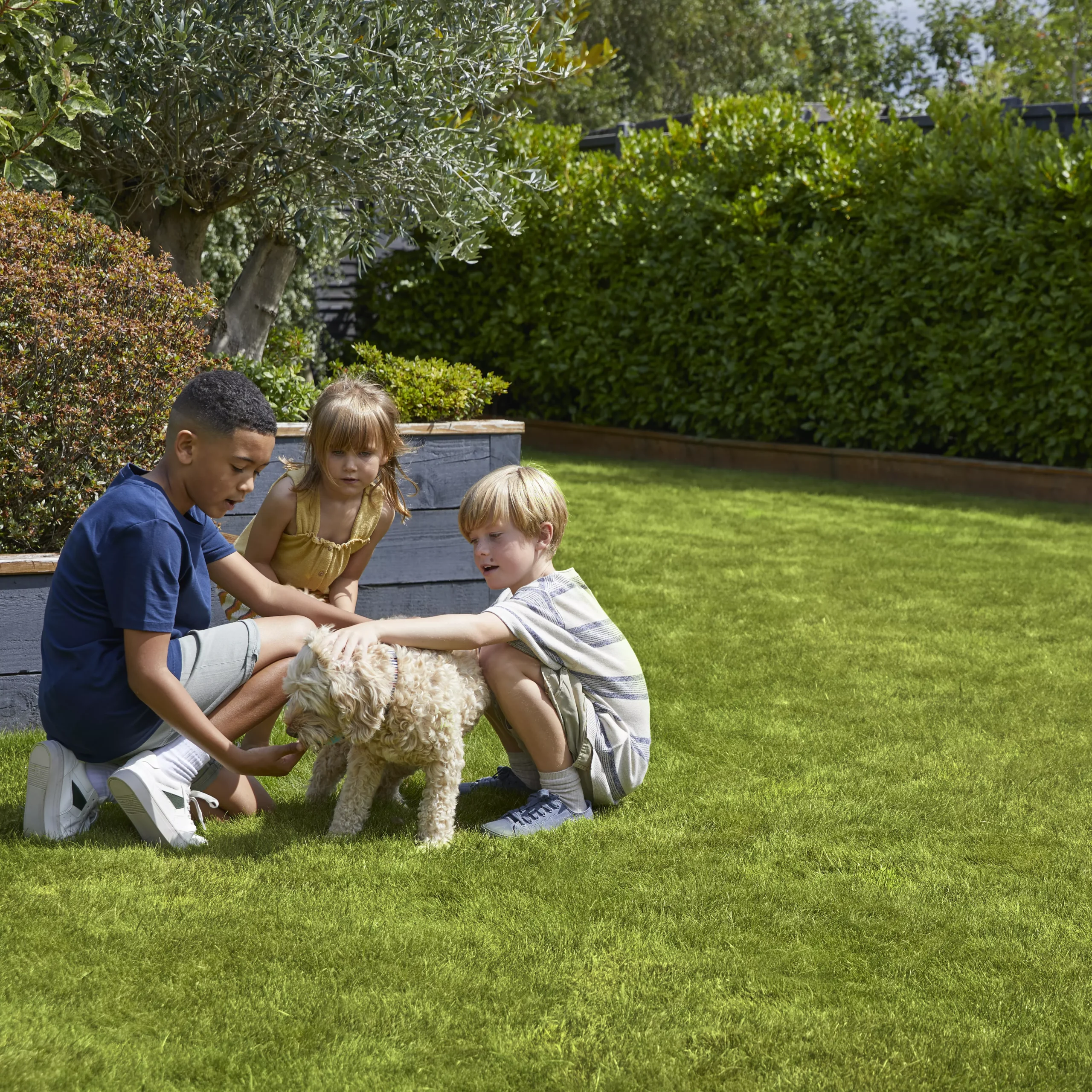 Verve Family & Sports Grass Seeds, 10kg 7 Verve Family & Sports Grass Seeds, 10kg - Image 5