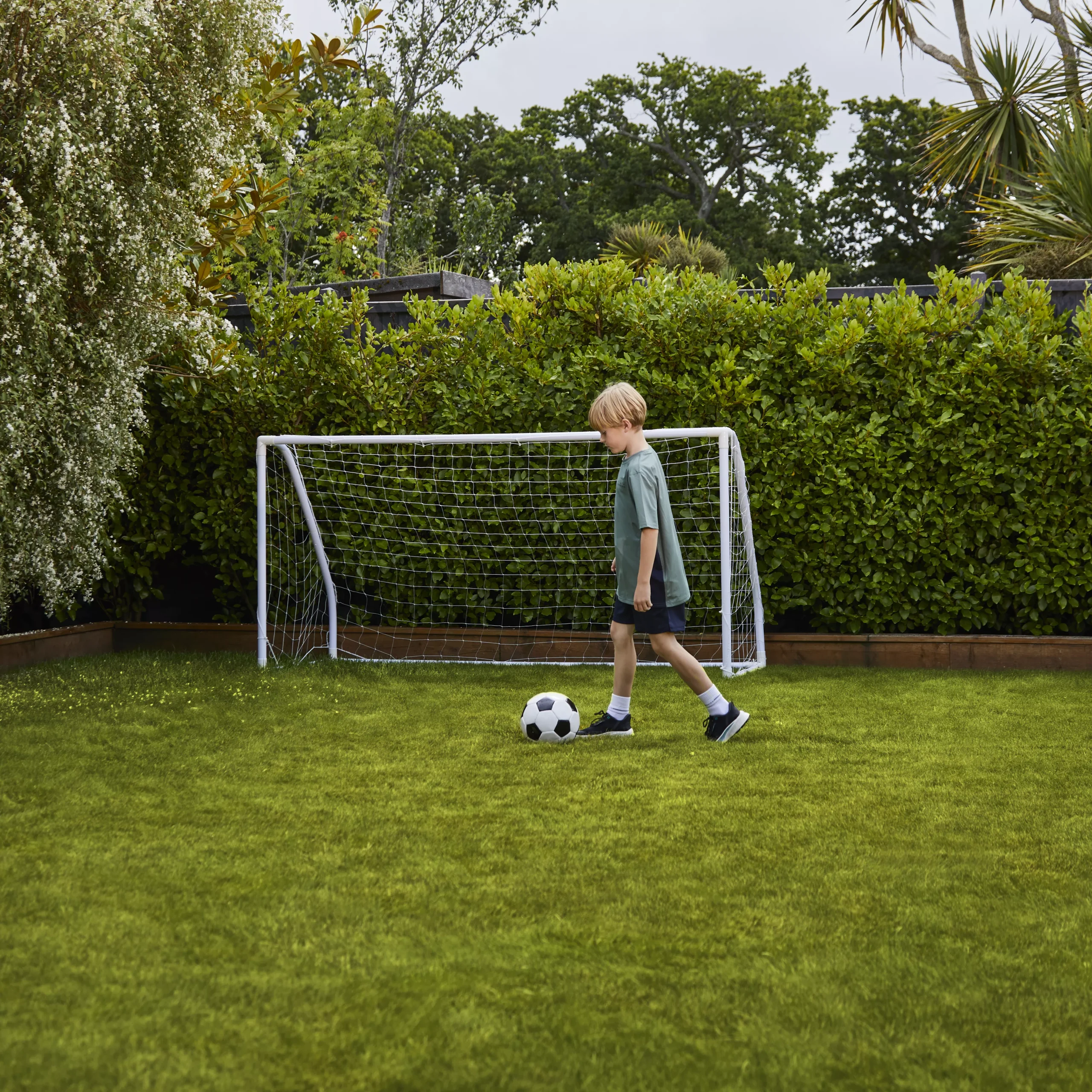 Verve Family & Sports Grass Seeds, 10kg 10 Verve Family & Sports Grass Seeds, 10kg - Image 8