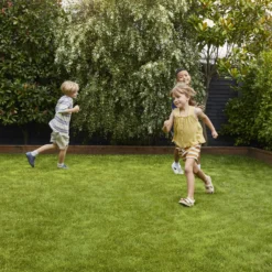 Verve Family & Sports Grass Seeds, 5kg -Outdoor Garden Shop verve family sports grass seeds 5kg3663602947516 02i