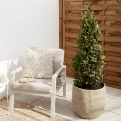 Verve Kulun Beige Knitted Effect Fibreclay Circular Plant Pot (Dia)46cm 7 Verve Kulun Beige Knitted Effect Fibreclay Circular Plant Pot (Dia)46cm -Outdoor Garden Shop verve kulun beige knitted effect fibreclay circular plant pot dia 46cm5059340327679 01i