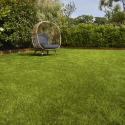 Verve Sunny Grass Seeds, 5kg -Outdoor Garden Shop verve sunny grass seeds 5kg3663602947578 01i