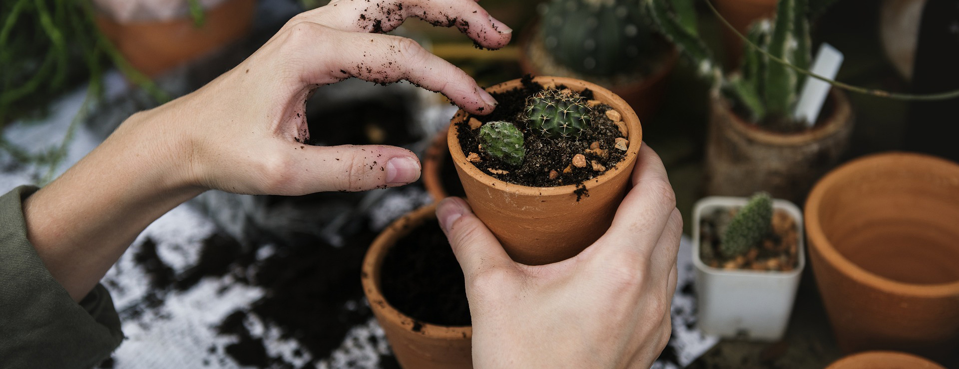 Front Page -Outdoor Garden Shop ecology 2985781 1920